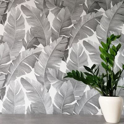 31624 Avalon Marburg