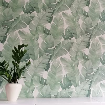 31650 Avalon Marburg