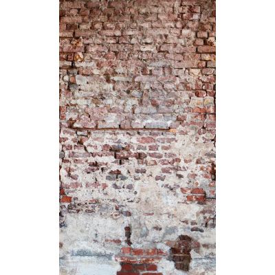 383351 Metropolitan Stories - The Wall Livingwalls