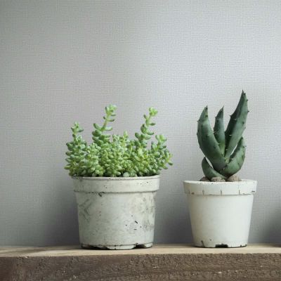 34328 New Poetry Marburg