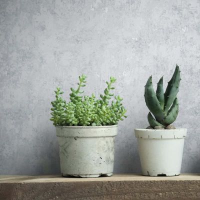 34341 New Poetry Marburg